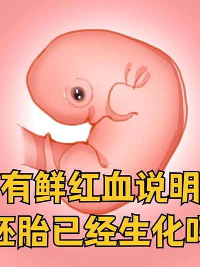 有鲜红血流出是不是说明胚胎已经生化了？别自己吓自己