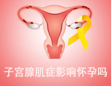 子宫腺肌症可以怀孕吗？做试管有影响吗？