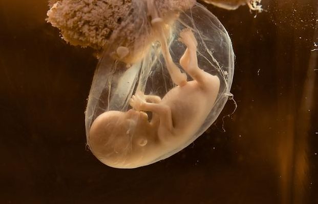 试管婴儿一次大约多少钱？过来人帮你梳理5笔费用价格明细