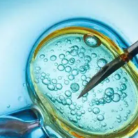 卵巢早衰：还能做试管婴儿吗？数据揭秘真相