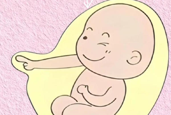 怀孕前三个月不建议保胎，盲目治疗可能延长不可避免的流产