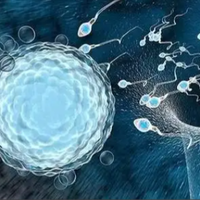 单身去马来西亚做试管婴儿：利弊全解析