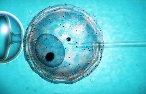 正规的试管医院排名我查了半年，末尾选的那家真没让我后悔