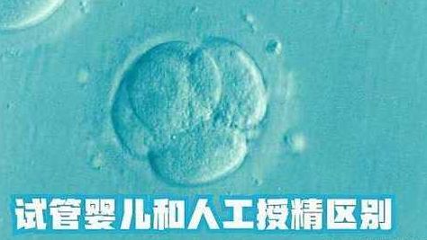 不孕不育医院哪家好？过来人总结的5个判断维度