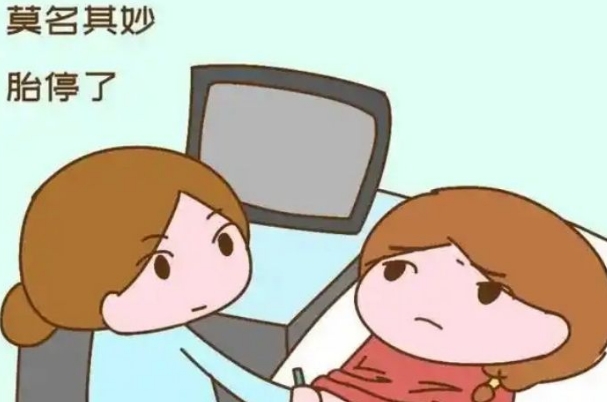 三代试管也有胎停的风险