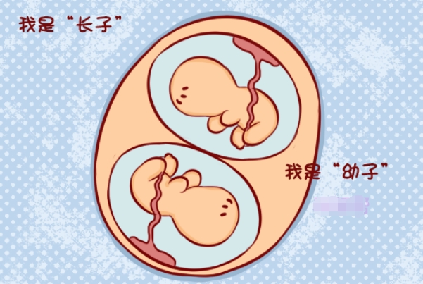 怀孕28周时双胞胎的总重量接近3公斤