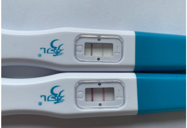 hcg可判断胎儿发育情况