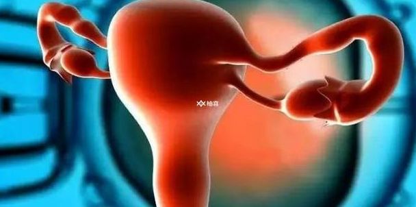 60岁女人还能怀孕吗？过来人帮你拆解5笔费用明细，试管花销一目了然