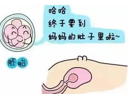 泰国试管婴儿哪里好？先看这3个关键差异
