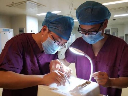 已婚女人梦见生双胞胎儿子：2025辅助生殖进医保，你的梦国家帮你圆