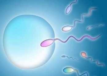 精子碎片率26能做一代试管婴儿吗