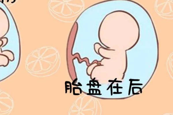 请问老人为什么会说胎盘在后壁容易生男孩？