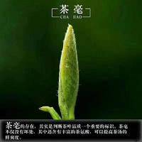 试管婴儿交流群用户头像