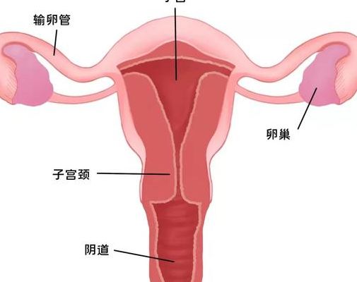 青岛试管可以选性别吗？我在生殖中心接到的这个高频问题终于有了完整回答