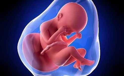 src=http___n.sinaimg.cn_sinacn10120_181_w608h373_20190117_b73f-hrvcwni8815191.jpg&refer=http___n.sinaimg.jpg src=http___n.sinaimg.cn_sinacn10120_181_w608h373_20190117_b73f-hrvcwni8815191.jpg&refer=http___n.sinaimg.jpg