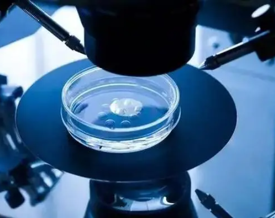 受精后会进行胚胎筛选