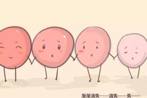 试管婴儿卵泡不行也有可能生育