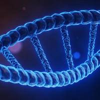 单身可以在美国做试管吗?单身人士赴美试管婴儿的全面考量