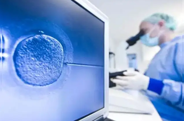 试管婴儿胚胎是4BB能移植两个吗