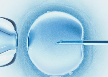 AMH值为0.09的胚胎质量好就能试管成功吗?