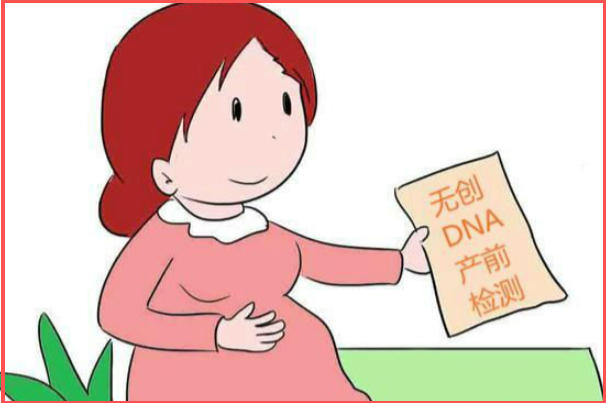 无创DNA检查不能直接判断胎儿性别