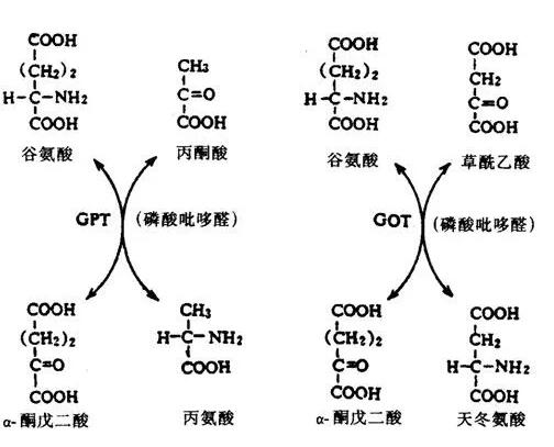 话题图标