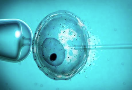 三级胚胎移植成功率有多高