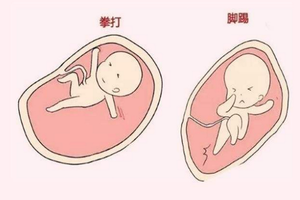 胎动频繁是怎么回事