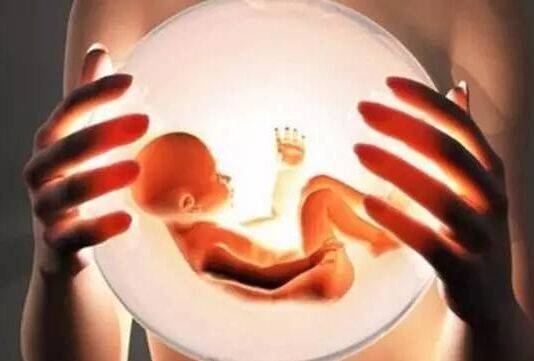 受精卵生死存亡多个瞬间,揭秘试管婴儿胚胎培养!