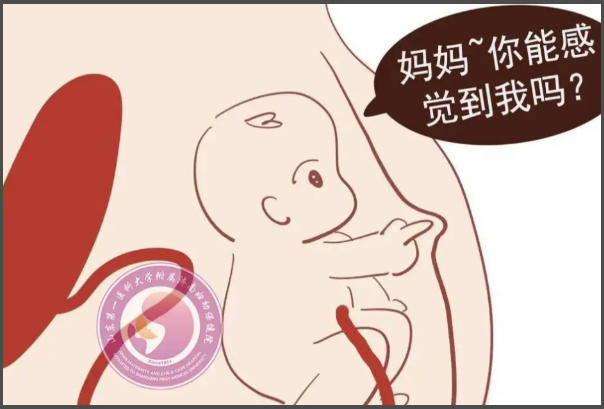 sd值是反映胎儿胎盘循环状态的指标