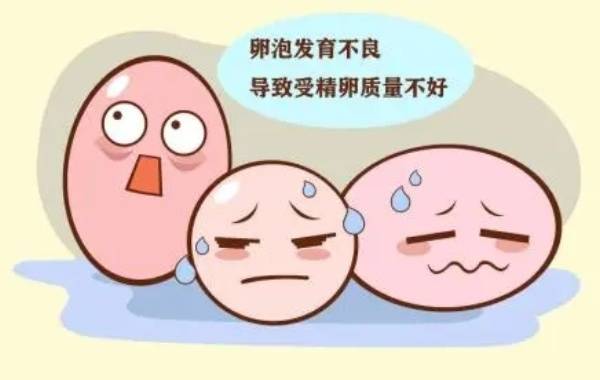 上海供卵代怀包成功上海正规供卵试管婴儿医院排名附试管代怀生子机构一览