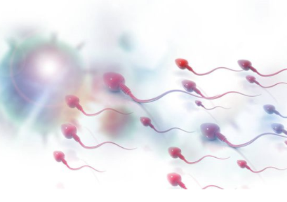 四川三代试管助孕免费贡献精子生子的哪个费用更高