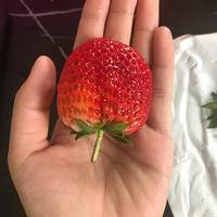 试管婴儿交流群用户头像