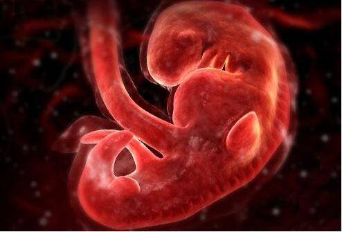 做试管婴儿胚胎移植后出现这些症状怎么应对？