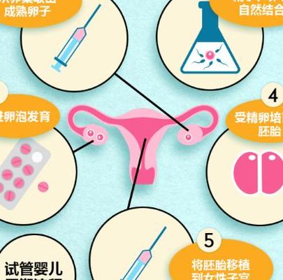 两个子怎么试管婴儿呢？A卵B怀这条路要分几步走