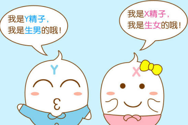 X与Y精子存活时间有差异