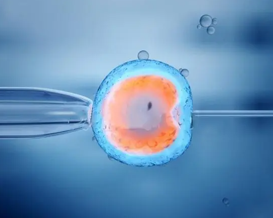 鲜胚成功率和卵巢储备有关