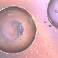 单身女性的人工授精生育：你能申请吗？权利与限制详解