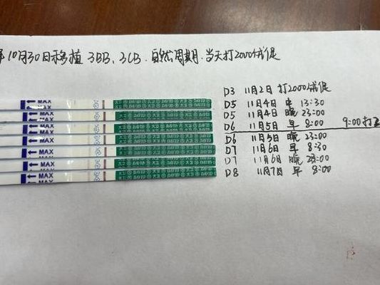 移植失败后多久可以二次移植？关键看你手里有没有冻胚