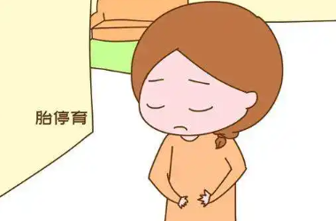 胚胎质量不好一般几周会胎停呢?如何预防胎停?