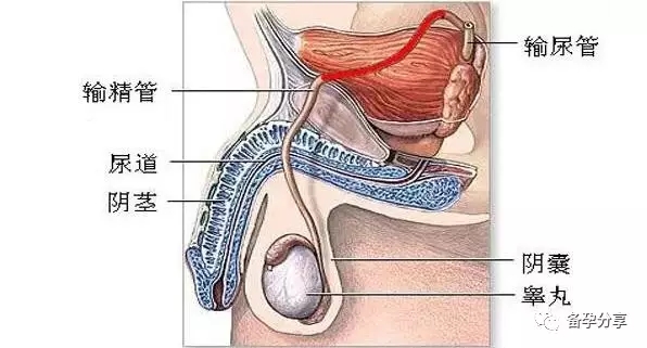 640.webp (2).jpg