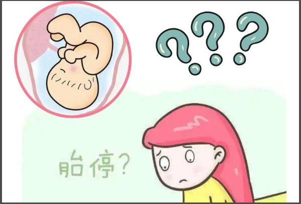 容易胎停的女性可能是精子的问题