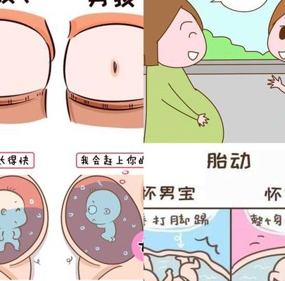 2025年怀孕生男孩几率大吗，我做了两次试管终于想明白了