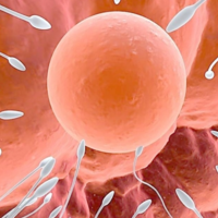 俄罗斯试管婴儿靠谱吗？一文读懂利弊与选择