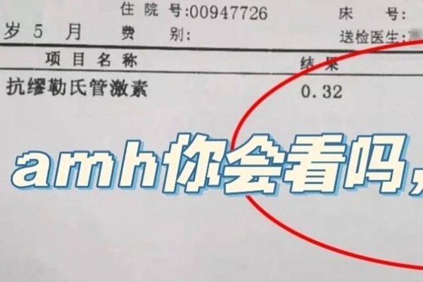 AMH值可以判断卵巢的情况