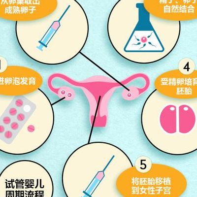 试管失败多久可以做第二次促排？先看这3个恢复信号