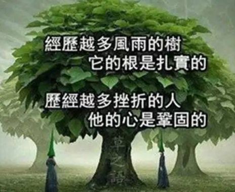 试管最难熬的三个阶段，34岁的我差点熬不过去