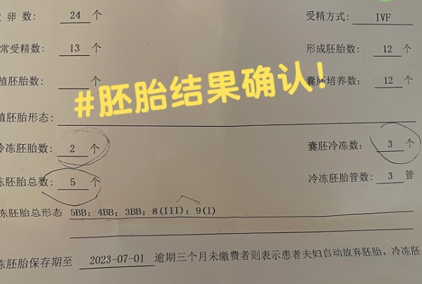 首次胚胎结果必须患者本人到场