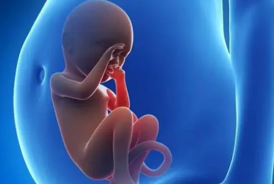 宝宝的男女由父母的染色体决定