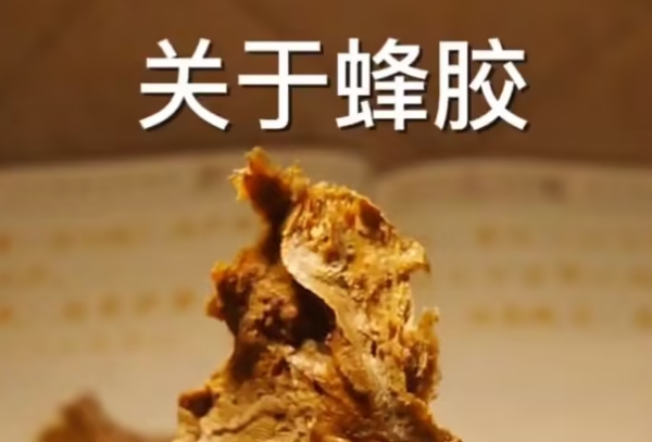 过敏患者慎吃蜂胶